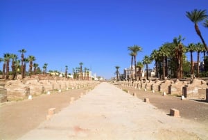 From Cairo: Private Day Trip to Luxor w/ Transfer & Flights