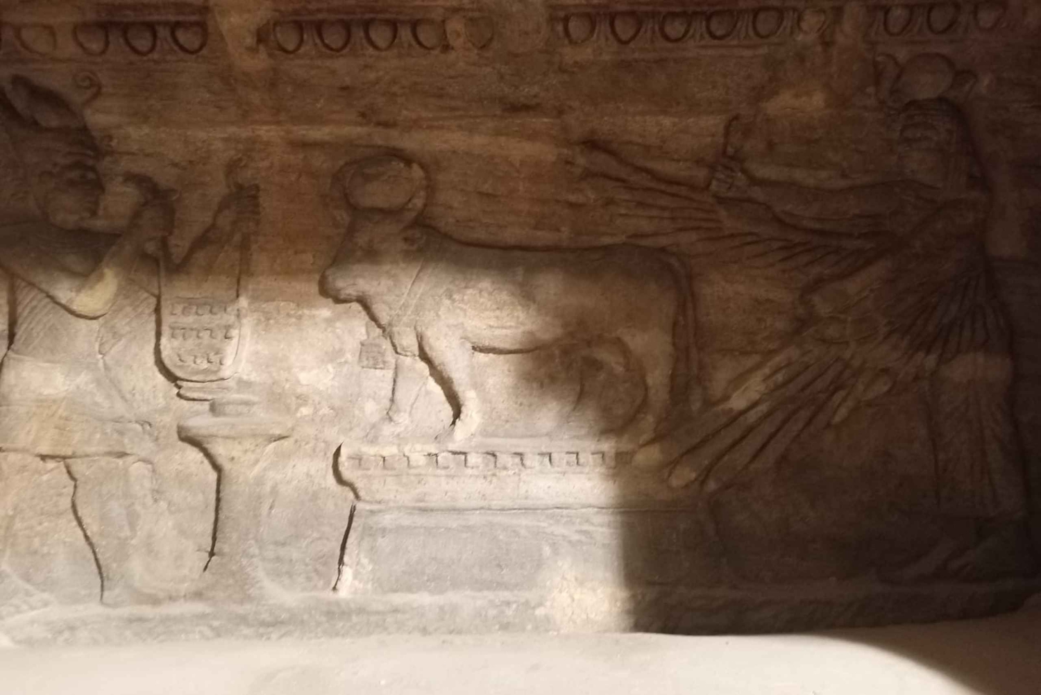 Kairosta: Aleksandriaan: Yksityinen ylellinen päiväretki