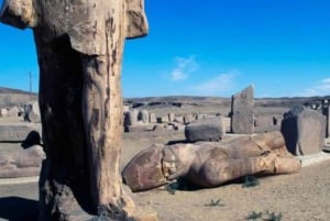From Cairo: Tanis and Bubastis with Traditional Lunch