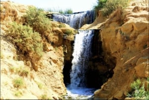 From Cairo: Whale Valley and Wadi El Rayan Waterfalls Tour