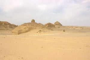 Desde El Cairo: Wadi El-Rayan y Cascadas y Lago Mágico