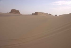 Vanuit Caïro: Wadi El-Rayan & Watervallen & Magisch Meer