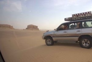 Au départ du Caire : Wadi El-Rayan, chutes d'eau et lac magique