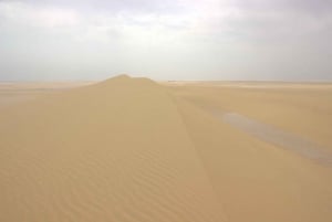 Au départ du Caire : Wadi El-Rayan, chutes d'eau et lac magique