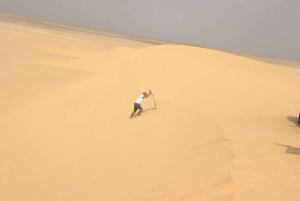 Desde El Cairo: Wadi El-Rayan y Cascadas y Lago Mágico