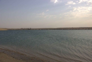 Au départ du Caire : Wadi El-Rayan, chutes d'eau et lac magique