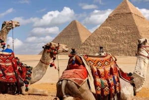 Desde El Gouna Excursión de un día a lo más destacado de El Cairo y Giza con almuerzo
