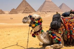 El Gounasta: Gizan ja Kairon kohokohdat päiväretki lounaalla.