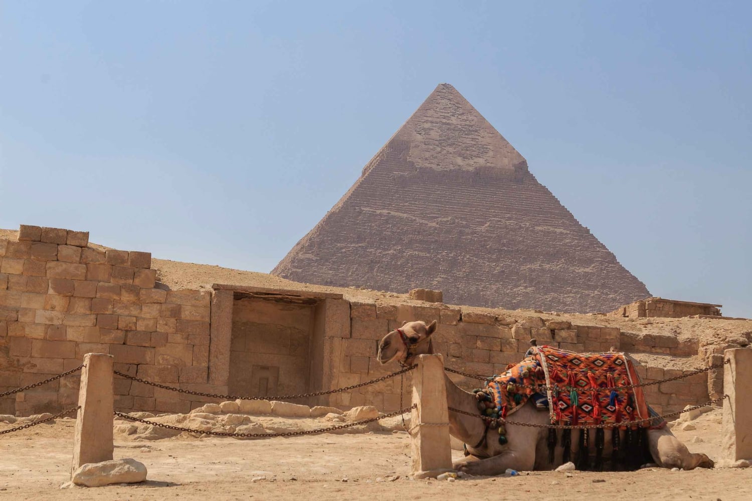 Dal porto di El Sokhna: Piramide di Giza e Museo Egizio