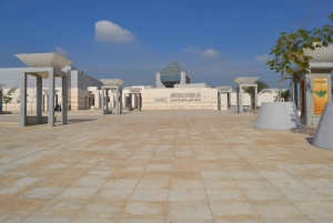 Z portu El-Sokhna: Wycieczka do piramid w Gizie i Muzeum Narodowego