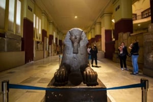 From El Sokhna port: National Museum & Egyptian Museum Tour