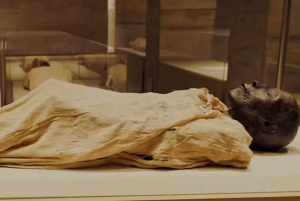 From El Sokhna port: National Museum & Egyptian Museum Tour