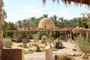 From Giza: Siwa, Bahariya, and White Desert Guided Tour