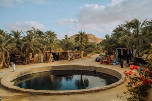 Da Giza: Tour guidato di Siwa, Bahariya e del deserto bianco