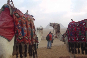 Hurghada: Cairo Private Day Tour with Entry Fees and Lunch