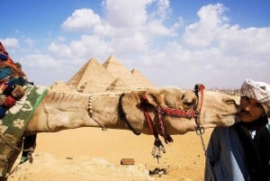 Depuis Hurghada : Excursion d'une journée au Caire en avion