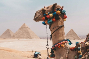 Hurghada: Cairo and Giza Highlights Tour with BBQ Lunch