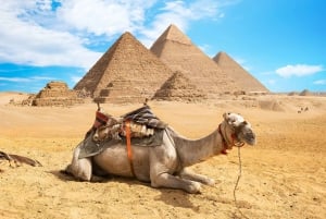 Desde Luxor: El Cairo y Alejandría con servicio de recogida y vuelo