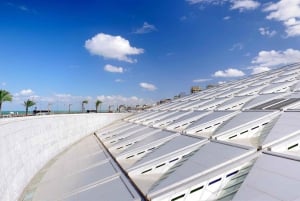 من الأقصر: جولة القاهرة والإسكندرية مع النقل والطيران