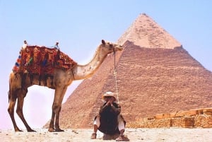 Depuis Safaga/Soma Bay : Excursion d'une journée aux Pyramides et au Musée égyptien