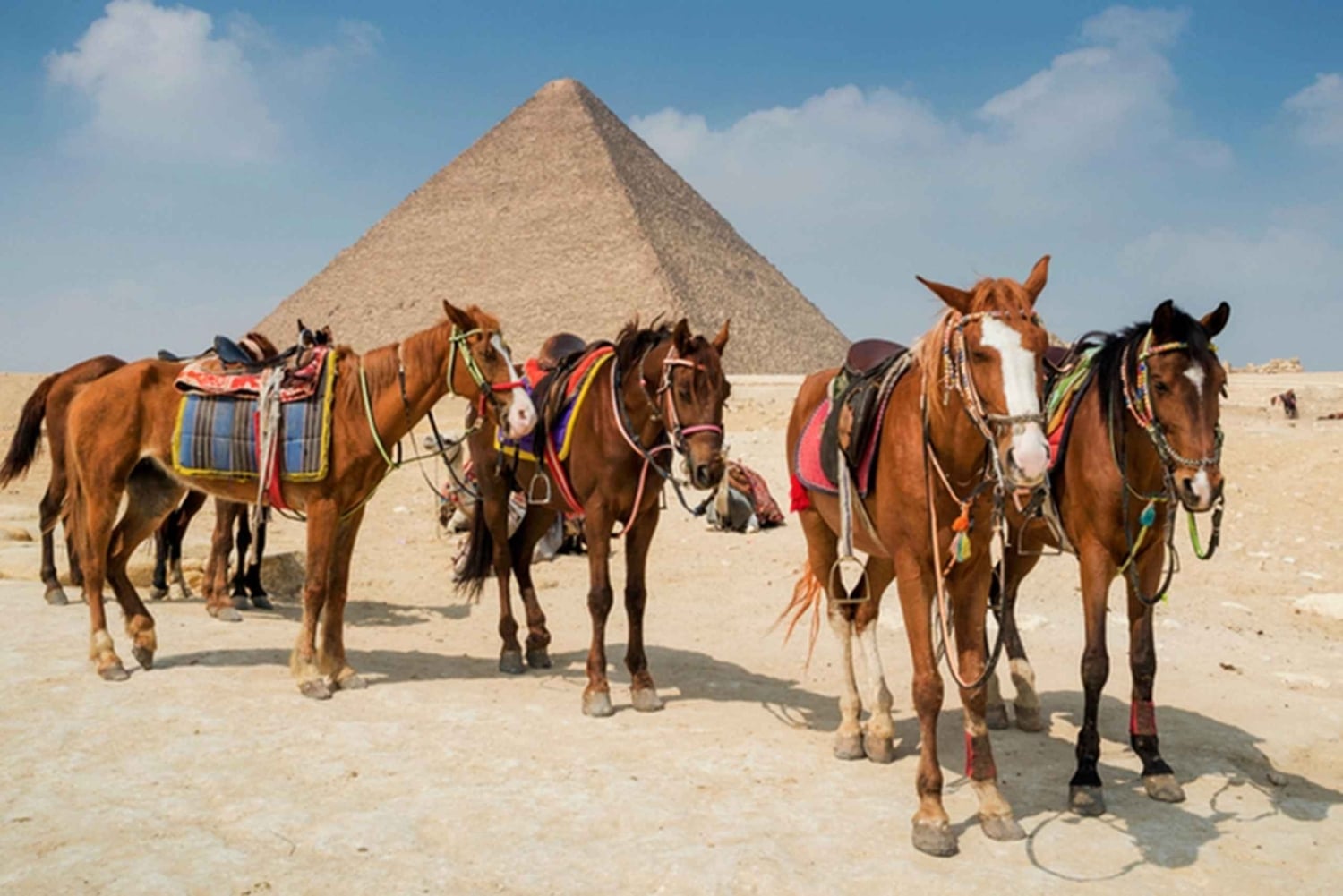 Giza: Wycieczka konna wokół piramid w Gizie