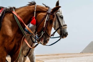 Giza: Arabian Horse Tour Around the Giza Pyramids