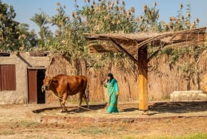 الجيزة: جولة نصف يوم في القرية الفرعونية مع خدمة النقل من الفندق