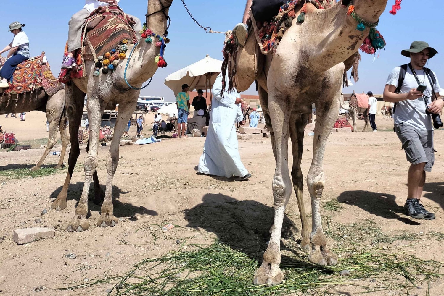 Giza Pyramids, Egyptian Museum From Alexandria Port
