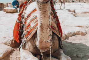 Grande Museu Egípcio, Pirâmides, Esfinge e almoço autêntico