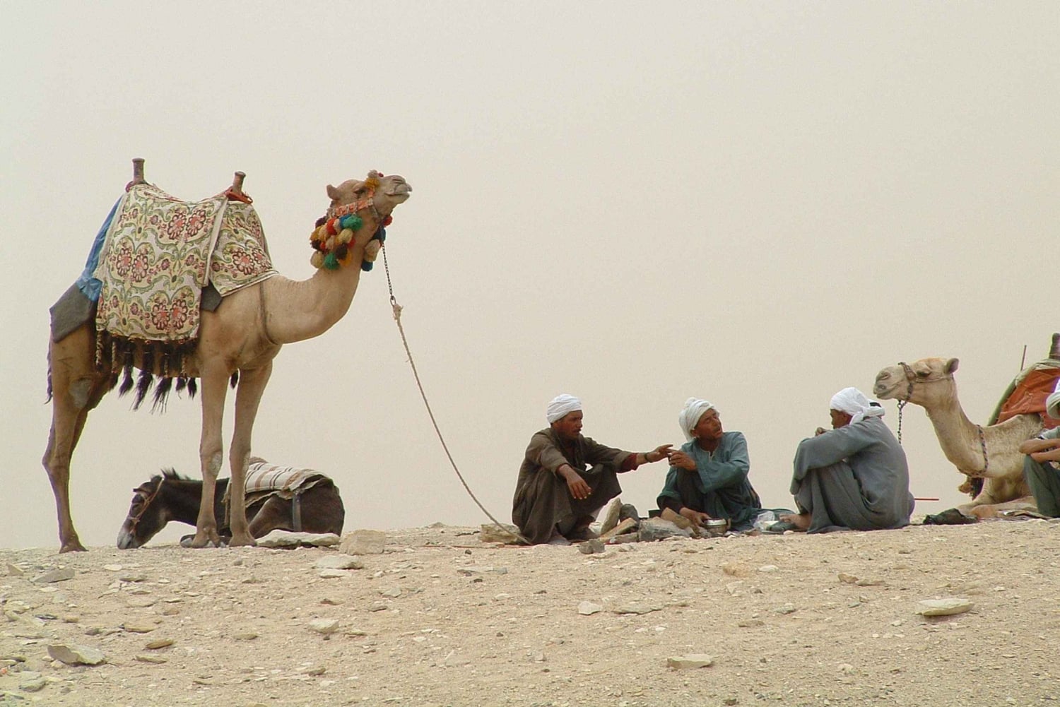 Обзорная экскурсия по Каиру на полдня с посещением пирамид Гизы и Сфинкса