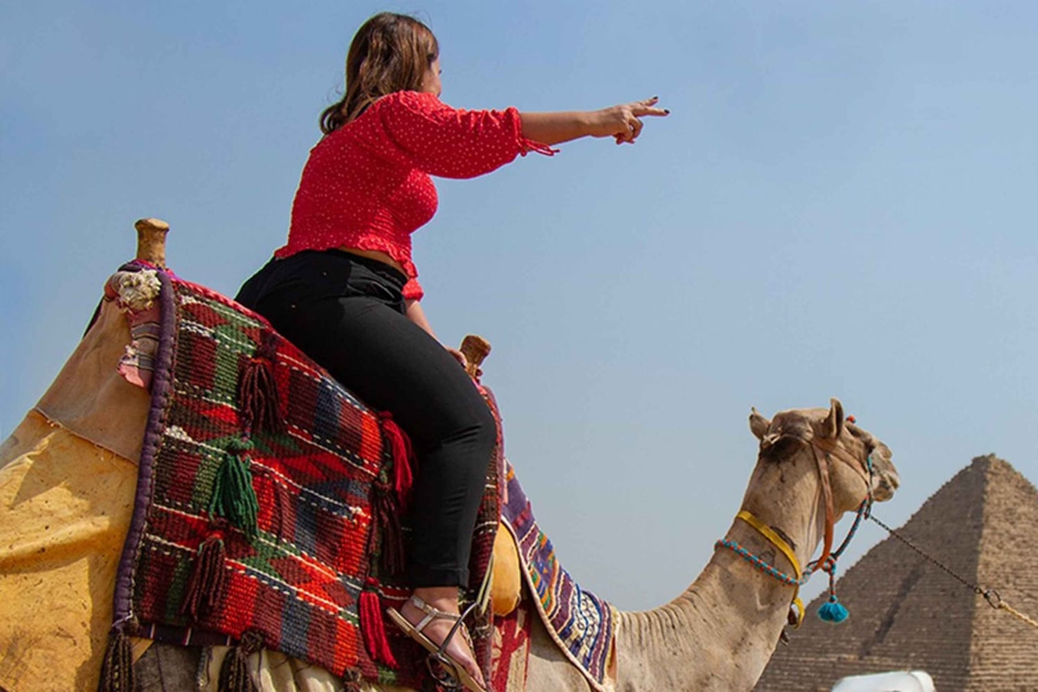 Обзорная экскурсия по Каиру на полдня с посещением пирамид Гизы и Сфинкса