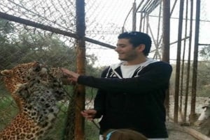 Hurghada:10 päivän Egyptin kiertomatka, Niilin risteily, ilmapallo, lennot