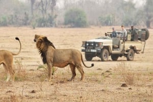 Hurghada:10 päivän Egyptin kiertomatka, Niilin risteily, ilmapallo, lennot
