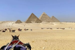 Hurghada: dagtour naar Caïro met vlucht, piramides, sfinx en museum
