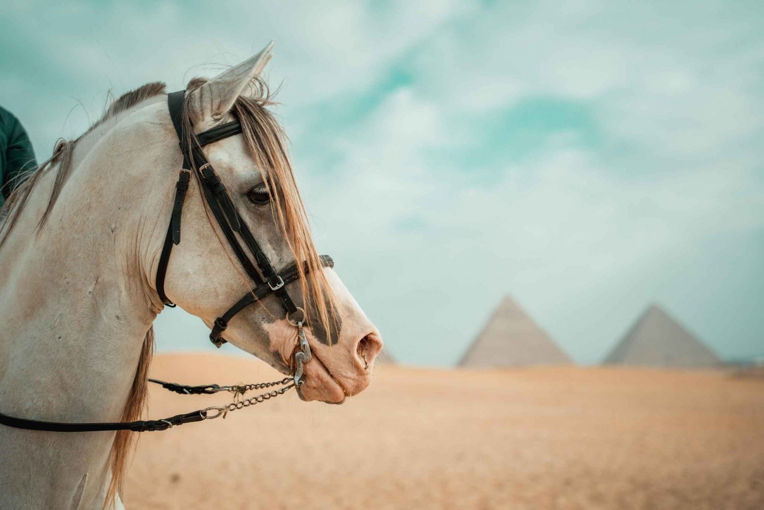 Hurghada: Excursión de un día a El Cairo con paseo a caballo por las pirámides de Guiza