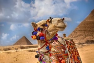 Hurghada: Gizan muinaisen Egyptin kokopäiväretki lentokoneella.