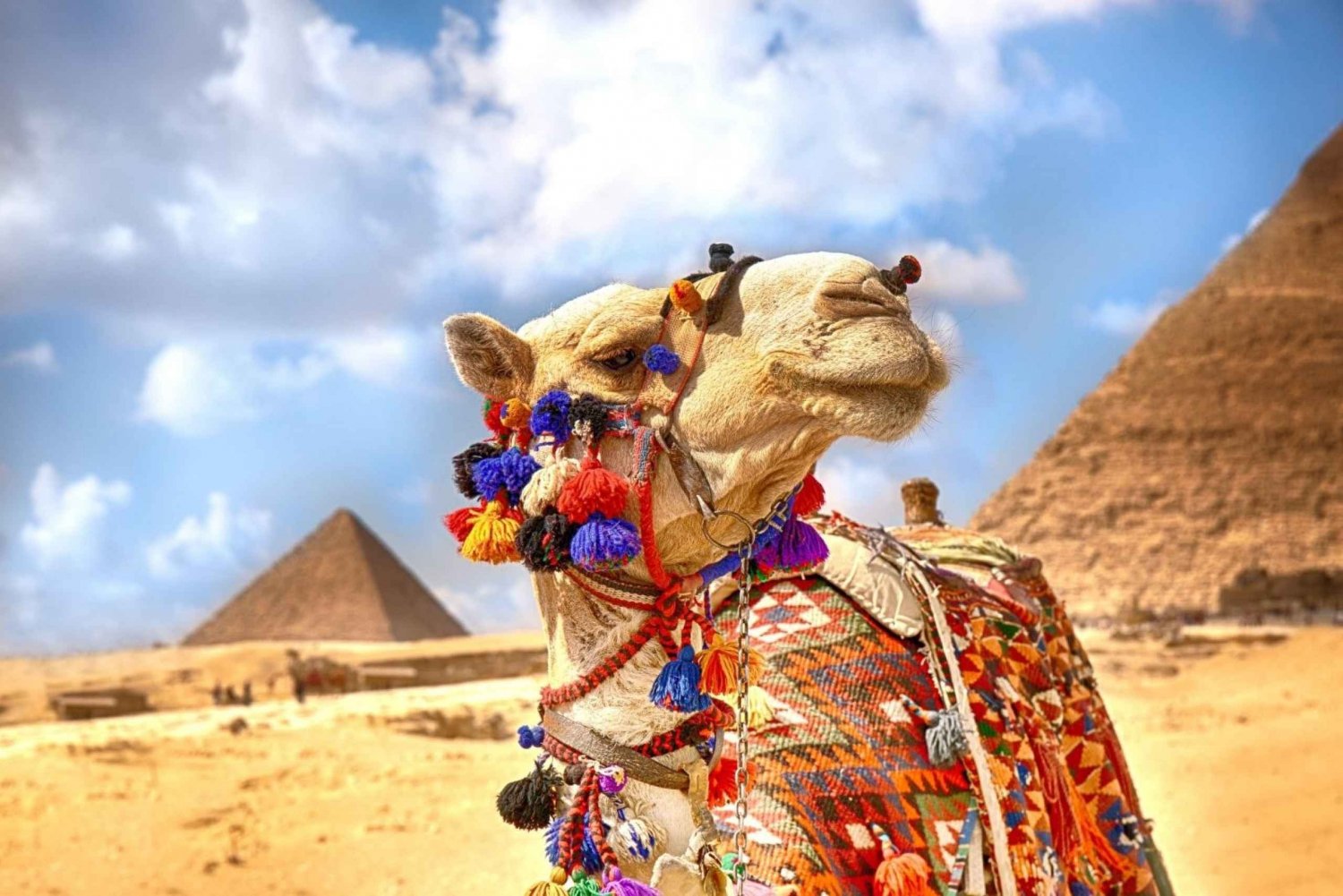 Hurghada: Passeio de camelo ao longo das Pirâmides de Gizé e Museu do Cairo
