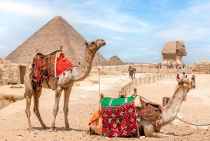 De Hurghada a El Cairo: Tour de día completo ida y vuelta en autobús y avión