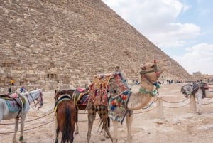 Excursão de escala para as pirâmides, o museu, o bazar e o show de luzes