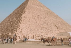 Layover Tour to Pyramids, The Museum, Bazaar and Light show