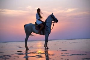 Makadi Bay: paardrijden in de woestijn en aan zee met gids + vervoer