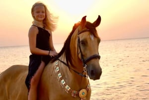 Makadi Bay: paardrijden in de woestijn en aan zee met gids + vervoer