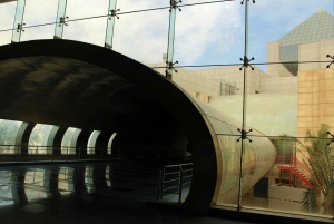 Museum of Egyptian Civilization, Citadel & Old Cairo Tour