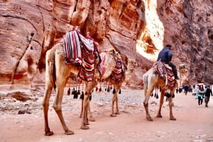 新年 : エジプトとヨルダンでの 7 日間の忘れられない旅行をお楽しみください