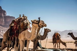 新年 : エジプトとヨルダンでの 7 日間の忘れられない旅行をお楽しみください