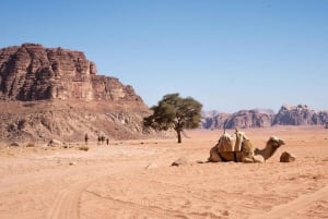 新年 : エジプトとヨルダンでの 7 日間の忘れられない旅行をお楽しみください
