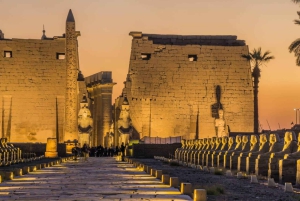 Nytår: Udforsk Egyptens hellige skatte på et 7-dages eventyr