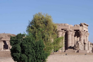 Ano Novo: Explore a aventura de 7 dias do Sacred Treasures Egypt