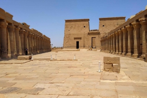 Ano Novo: Explore a aventura de 7 dias do Sacred Treasures Egypt