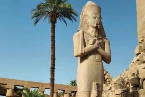 Fra Cairo: 12-dages tur med Luxor til Aswan-krydstogt og Petra